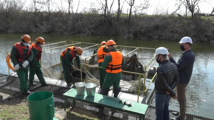 В пруд Запорожской АЭС выпустили биозахисникив