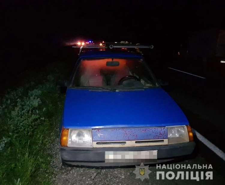 Выбежала на дорогу вслед за собакой: В Запорожском районе молодую женщину насмерть переехали два автомобиля