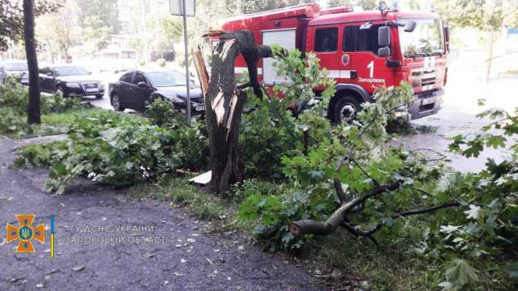 У Запоріжжі нетривала потужна негода затопила будинки та повалила дерева на автівки