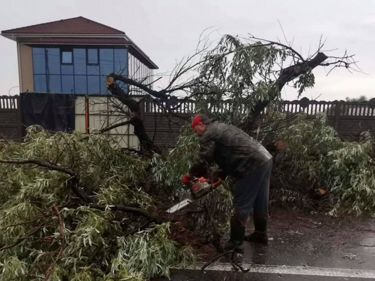 Непогода обесточила 110 баз отдыха на косе в Бердянске