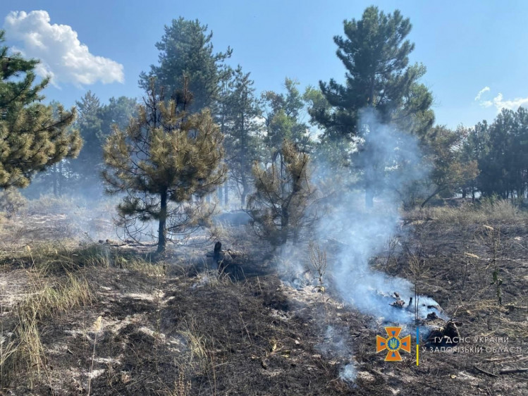 Спільними зусиллями десятків людей вдалося загасити потужну пожежу на території Національного заповідника Хортиця