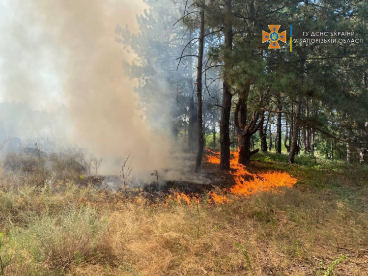 Совместными усилиями десятков человек удалось потушить мощную пожар на территории Национального заповедника Хортица