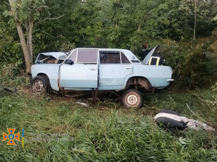 Дорожно-транспортное происшествие произошло на территории Пологовского района