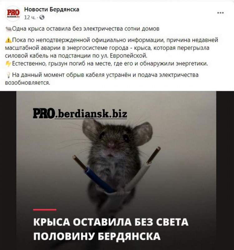 На запорожском курорте крыса спровоцировал масштабную коммунальную аварию