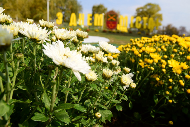 Квіткові інсталяції у Запоріжжі – святкова локація