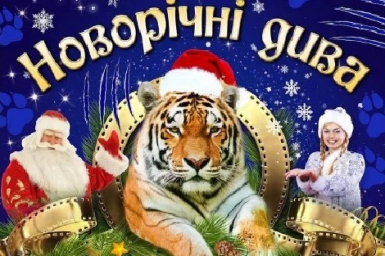 Цирковое шоу Новогодние чудеса в Запорожье